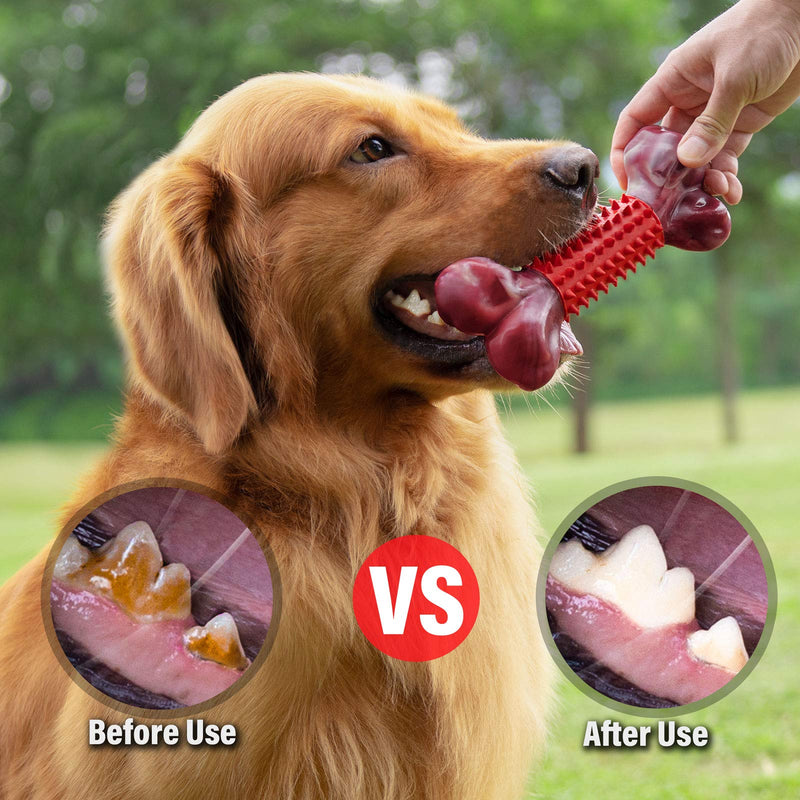 [Australia] - Tough Dog Toys for Aggressive Chewers Large Breed, Apasiri Dog Chew Toys, Durable Dog Toys, Dog Bones Made with Nylon and Rubber, Big Indestructible Dog Toy, Medium Puppy Chew Toys Teething chew Toys 