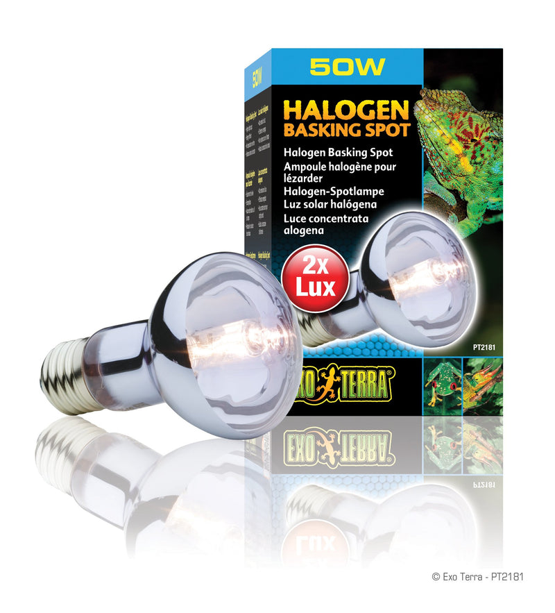 [Australia] - Exo Terra Sun-Glo Daylight Halogen Lamp 50 Watts Standard Packaging 