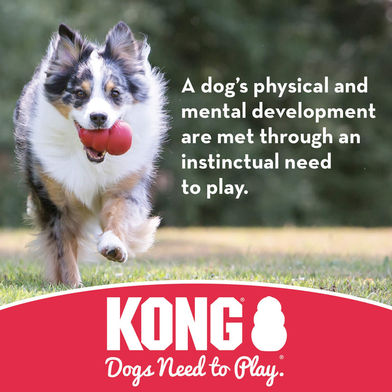 [Australia] - KONG - Ball with Hole - Durable Rubber, Fetch Toy - For Small Dogs 