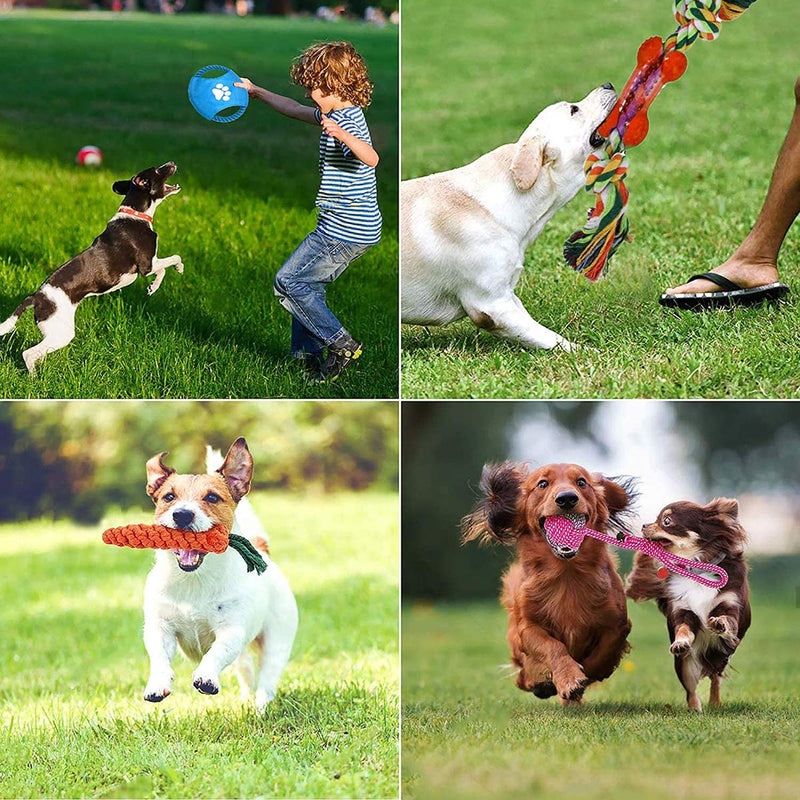 Dog Rope Toy Durable Dog Chew Toys Natural Cotton & Non-Toxic Tough Pet Rope Toys for Small Medium Large Dogs Set of 11 (Style01) Style01 - PawsPlanet Australia