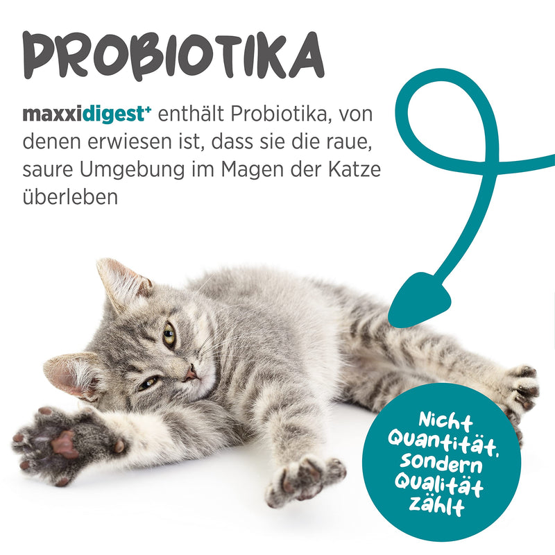 maxxicat - maxxidigest+ probiotics, prebiotics & digestive enzymes for cats - advanced support for the digestion and immune system of cats - no GMO powder - powder 200 g 200 g (pack of 1) - PawsPlanet Australia