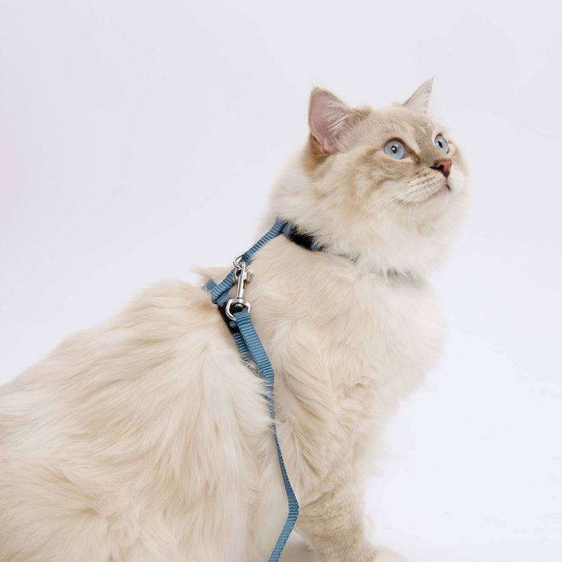 Catit Nylon Adjustable Cat Harness and Leash Set, Medium, Black - PawsPlanet Australia