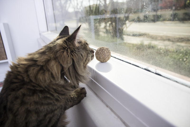 [Australia] - SmartyKat Compressed Catnip Cat Toy Kiss Cat Ball 