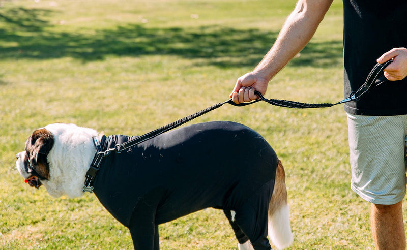 [Australia] - Shed Defender Shock Absorbing Bungee Leash - Three Padded Handles for Traffic Control at Different Lengths, Stretches from 4-7ft, Elastic Dog Leash, Reflective Stitching,training, black, Large, Medium 