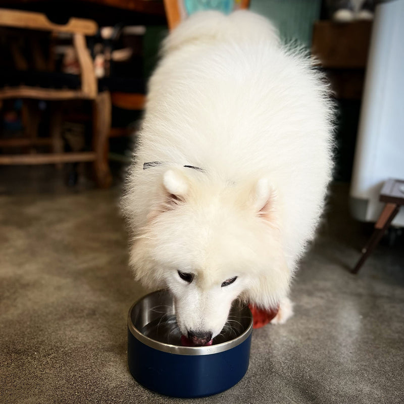 IKITCHEN Dog Bowls Double Walled for Food and Water, 1.2L Stainless Steel Durable Non-Slip Insulated Heavy Duty Stable with Rubber Base for Medium and Large Dogs (1.2L, Blue) - PawsPlanet Australia