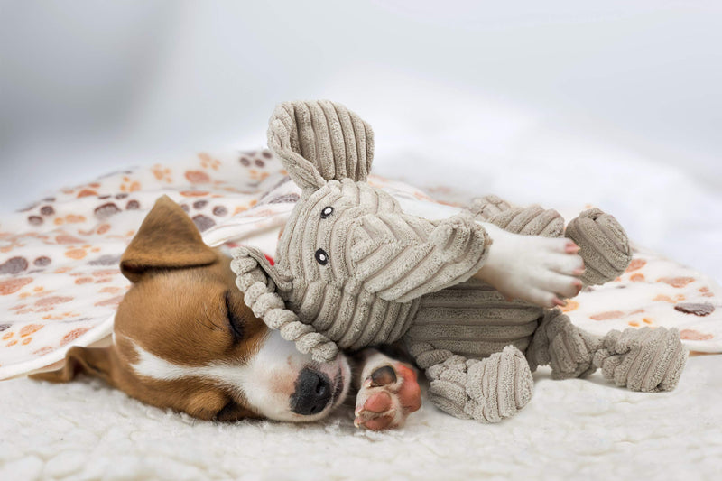 2 Pack Large Puppy, Pet, Dog Blanket Set with Plush Elephant Squeaky Chew Toy. Ideal Puppy Starter Kit, Cozy Paw Print Pet Blanket, for Small/Medium Dogs, as a Throw for your Couch/ Sofa or Puppy Bed. - PawsPlanet Australia