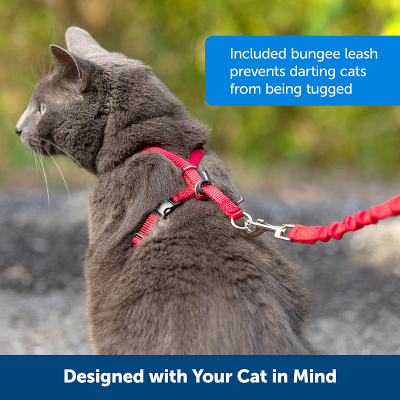 PetSafe Easy Walk Cat Harness with Bungee Lead, Comfortable Control with Adjustable Fit, Includes Stretchy Bungee Section, Small-Red Red - PawsPlanet Australia