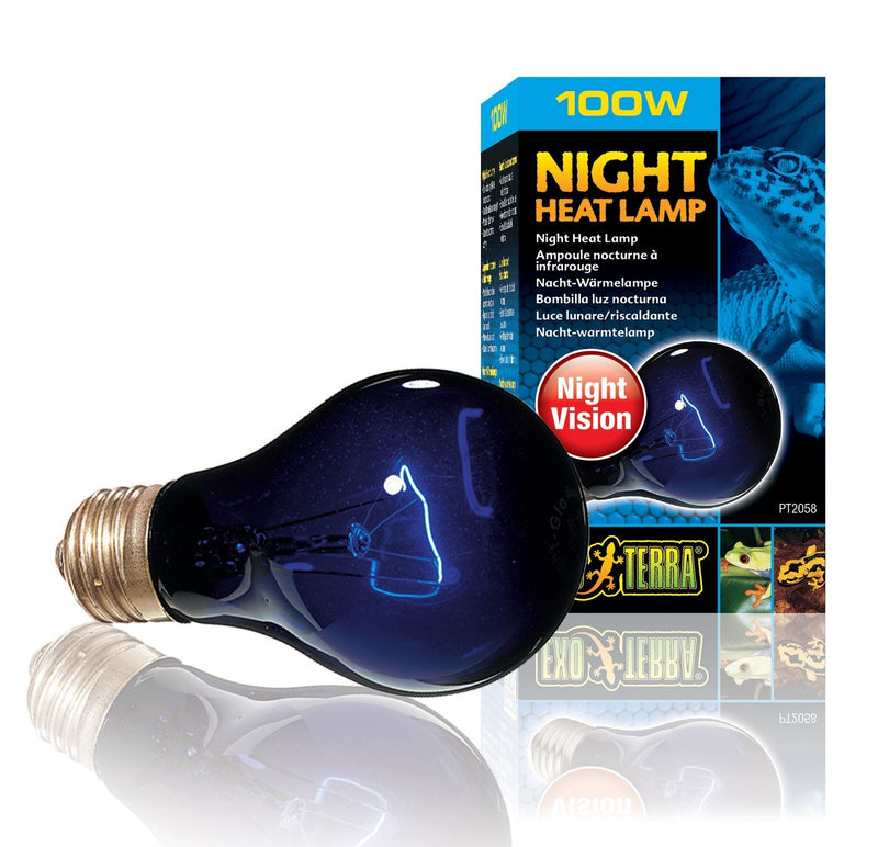 Exo Terra Night Heat Lamp, 100 W - PawsPlanet Australia