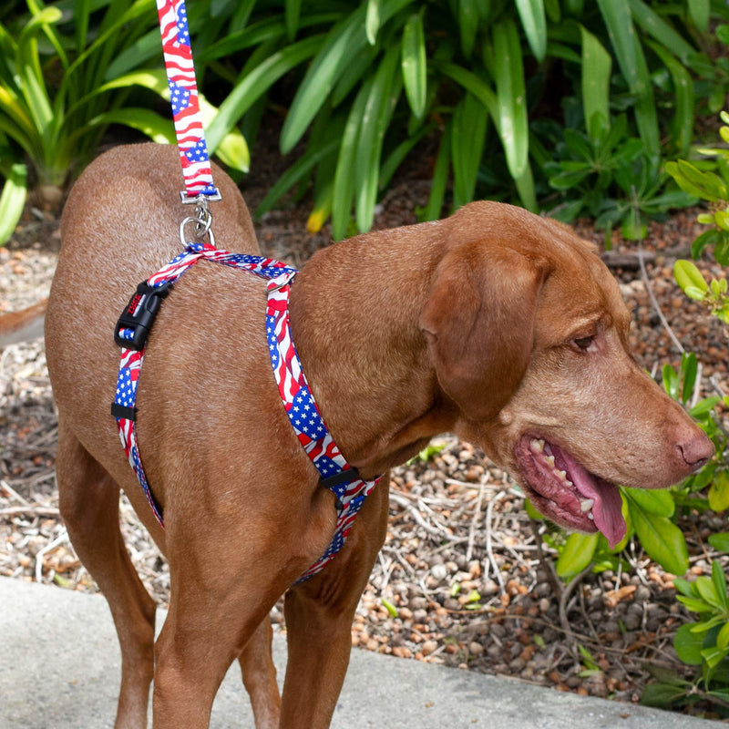 [Australia] - Tuff Lock Durable Figure-H Fully Adjustable Nylon Harness for Dog/Puppy, Made in USA - Figure H-Solids Turquoise XS 