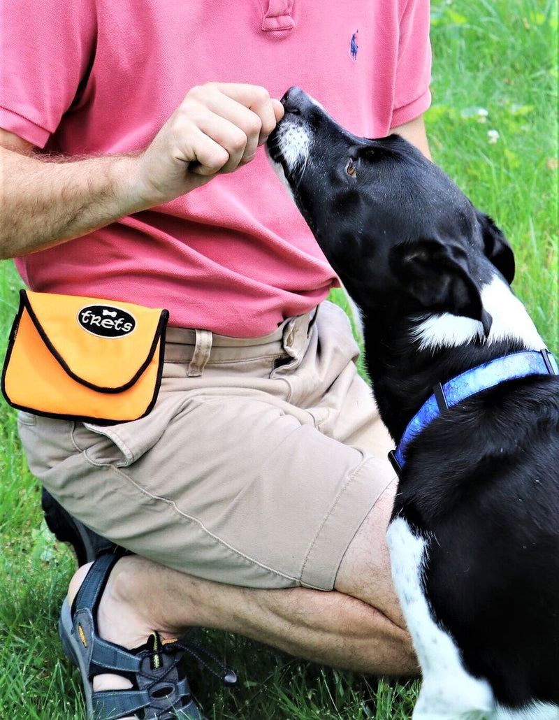 [Australia] - Woof Hoof Purple Magnetic Dog Cat Treat Pouch Training Rewards Bag For Treats Snacks with Belt Clip For Small n Large Pets Professional Quality 