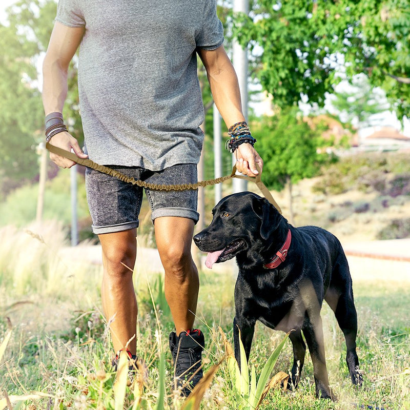 [Australia] - OutdoorMaster Bungee Dog Leash, Improved Dog Safety & Comfort Advanced: Tan 