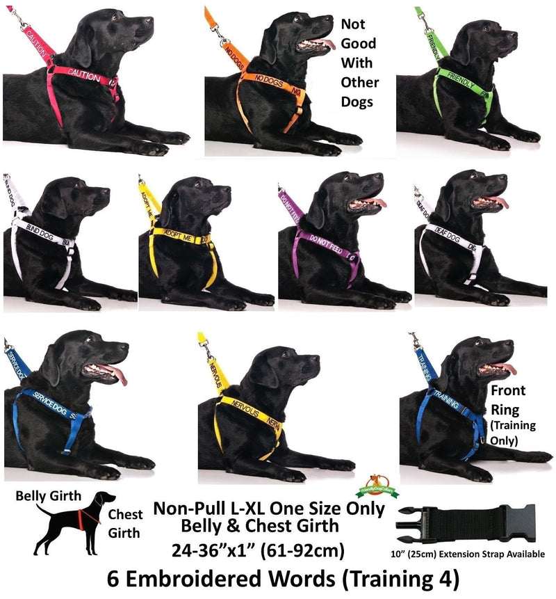 NO DOGS (Not good with other dogs) Orange Colour Coded Non-Pull Front and Back D Ring Padded and Waterproof Vest Dog Harness PREVENTS Accidents By Warning Others Of Your Dog In Advance (S) Small Harness - PawsPlanet Australia