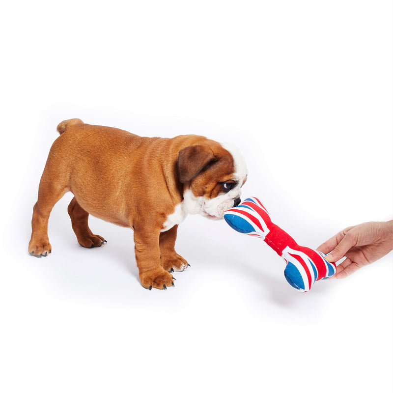 PetLondon British London Union Jack Bone 8', Canvas Plush Dog And Puppy Toy, Canvas Bone With Squeaker, Cute Fun Royal Queen Union Jack Dog Interactive Toy - PawsPlanet Australia