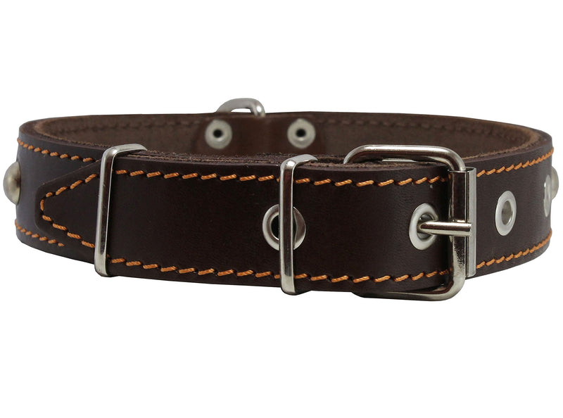 [Australia] - Genuine 1.25" Wide Thick Leather Studded Dog Collar. Fits 15"-20" Neck, Medium Breeds. 