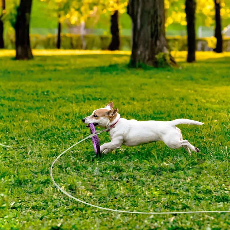 [Australia] - Dog Runner Tie Out Cable,Dog Run Leash with Shock Absorbing Spring,Durable and Lightweight Swivel Hook for Yard and Camping,Rust-Proof Pet Runner Leash for Medium to Large Dogs Up to 250lbs 60lbs/20ft 