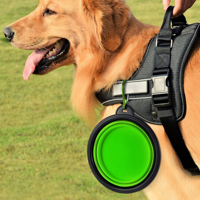 CATOOP Dog Doorbells Premium Potty Training Big Dog Bells Adjustable Dog Bells for Potty Training Your Puppy Easily - Premium Quality - 7 Extra Large Loud Dog Bells Green - PawsPlanet Australia