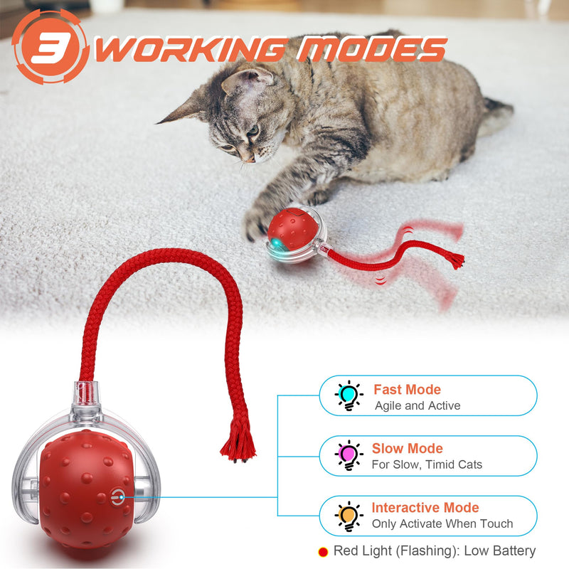 IOKHEIRA Interactive Cat Ball Toy Electric Automatic Cat Toy for Indoor Cats, Rechargeable Irregular Moving Cat Toy - PawsPlanet Australia