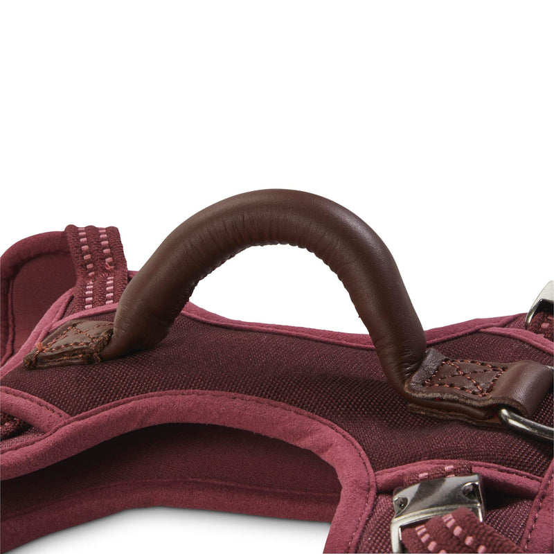 Petco Brand - Reddy Burgundy Canvas Dog Harness, Medium - PawsPlanet Australia