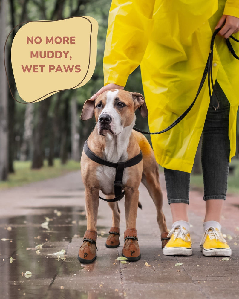 Pawcasins Dog Shoes, Waterproof Dog Booties for Small, Medium, Large Dogs, Dog Rain Boots, Dog Boots & Paw Protectors for Cold Weather, Summer, Winter, Anti-Slip for Hardwood Floors, Size 6 Size 6: 2.6"x3.1" (WxL) - PawsPlanet Australia