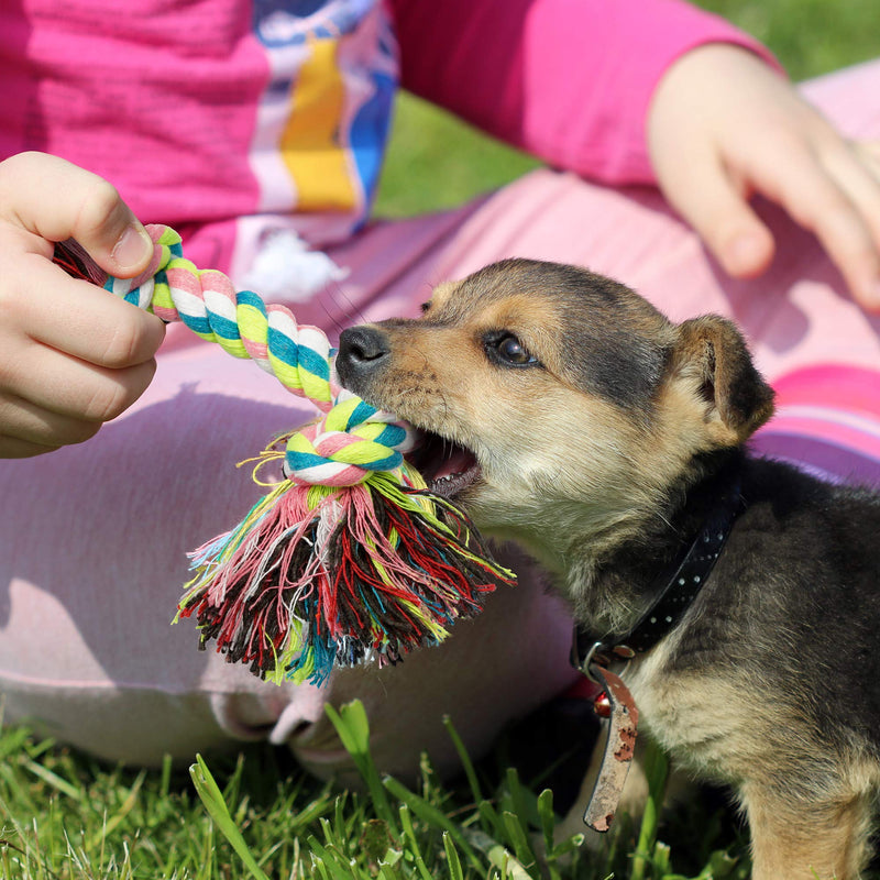 SUKCESO Dog Rope Toys Set. 10 Pcs 100% Cotton Indestructible Interactive Pet Chew Toys for Boredom. Puppy Teething Training Puzzle Toys. Include Ball, Bone, Frisbee for Small Medium Dogs - PawsPlanet Australia