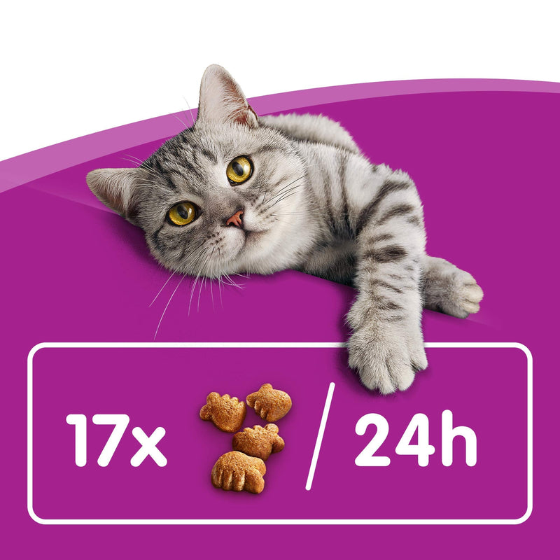 WHISKAS Dentabites Cat Dental Treats for Oral Care, Reduce Build Up and Help Control Tartar, with Delicious Chicken, 8 x 50 g Dentabites with Chicken - PawsPlanet Australia