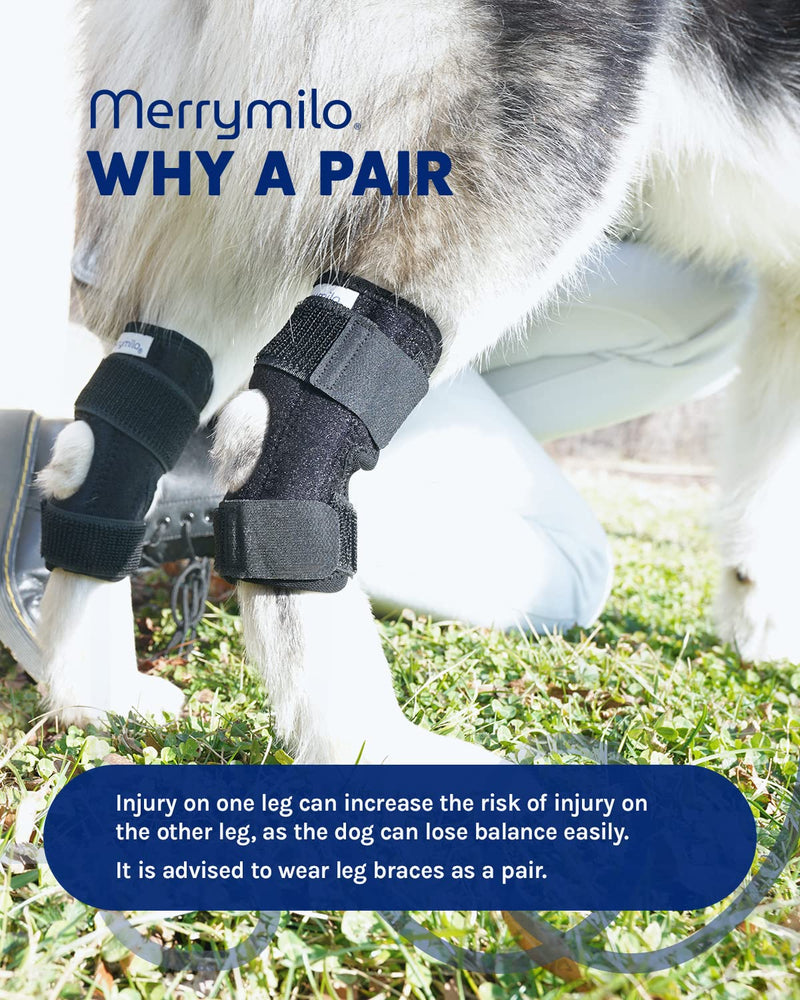 MerryMilo Dog Leg Brace for Rear Hock & Ankle, Canine Hind Leg Joint Compression Wrap for Torn ACL & CCL, Injury and Sprain Protection, Wound Care and Loss of Stability from Arthritis 1 Pair (Size: M) Medium - PawsPlanet Australia