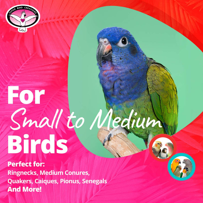 [Australia] - Super Bird Creations SB741 Seagrass Mini Activity Wall with Colorful Foraging Toys for Parrots, Medium Size, 9” x 7” x 2” Оne Расk 