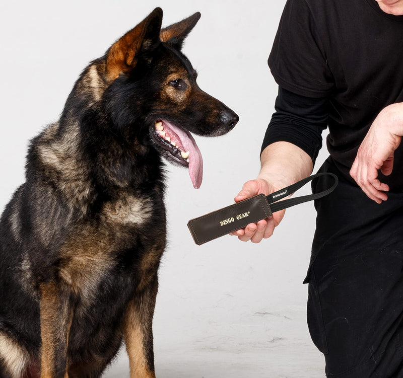 DINGO GEAR Dog Bite Tug Handmade of Brown Grain Leather Strong, Chocolate, 0.16 kg CUBOID 28 cm - PawsPlanet Australia