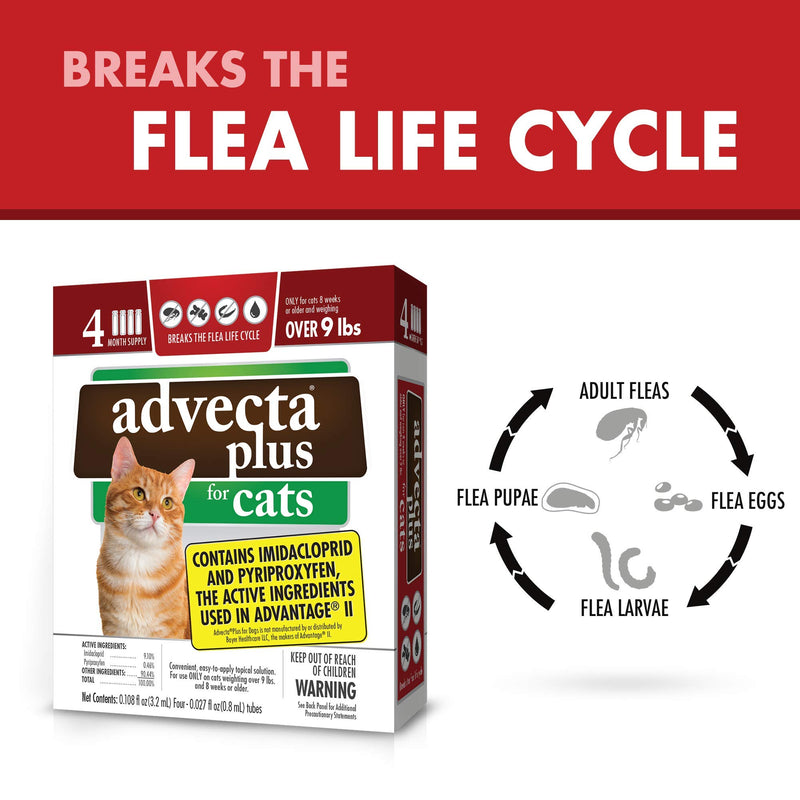 Advecta Plus Flea Squeeze-On, Flea Prevention for Cats, 4 Month Supply Cats Over 9 lbs - PawsPlanet Australia