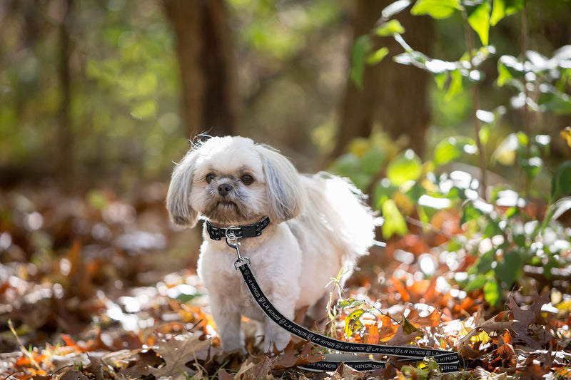 [Australia] - Pets First NHL Los Angeles Kings Leash for Dogs & Cats, Medium. - Walk Cute & Stylish! The Ultimate Hockey Fan Leash! NHL Leashes Medium (4 Ft Long x 0.62 In Width) 