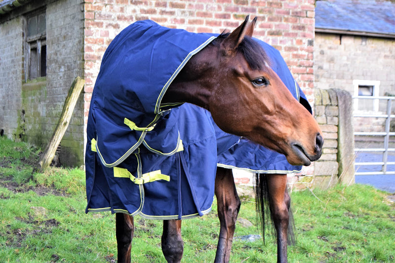 Asker 0g Horse Lightweight Standard Neck Turnout Rug - Navy Blue 4ft 6in - PawsPlanet Australia