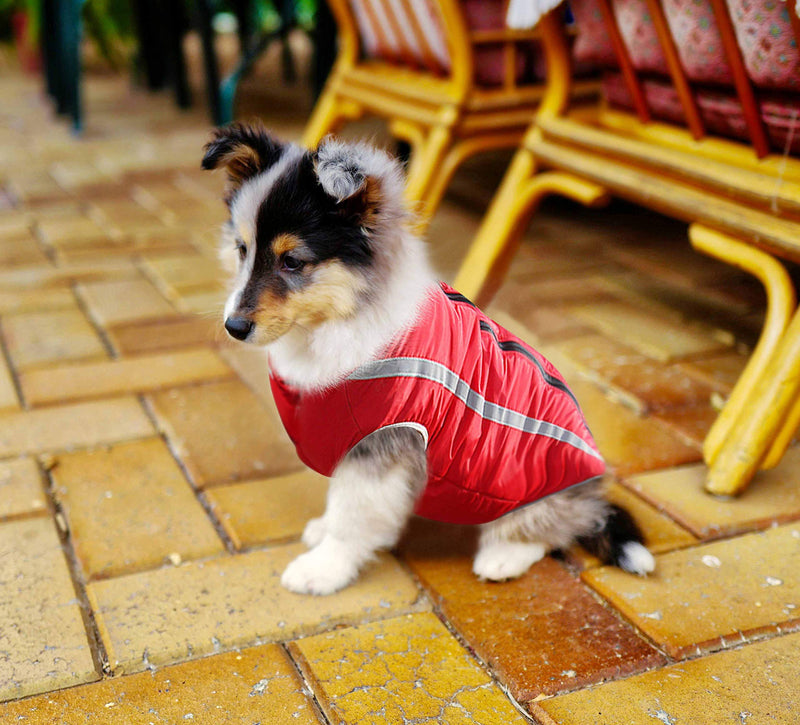 Segarty Dog Coat, Red Doggies Jacket, Reflective Strip Winter Splashproof Sport Vest Jackets Snowsuit Apparel for Small Medium Large Dogs Chest 22.1", Back 16.2" - PawsPlanet Australia