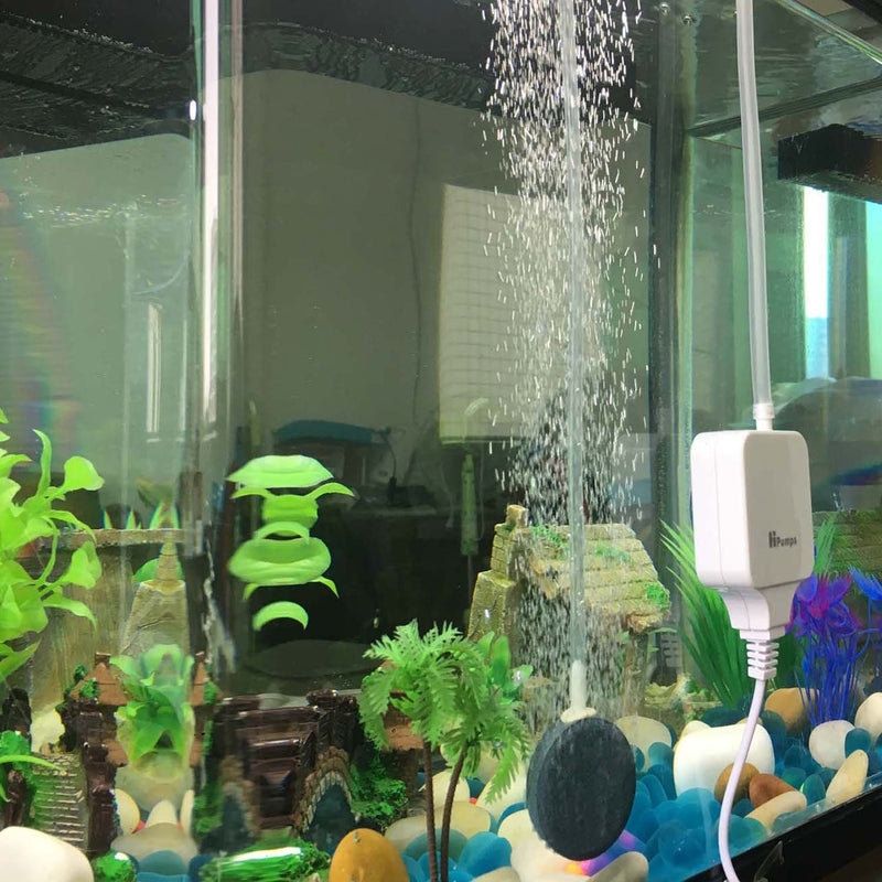 [Australia] - AsiaPPump Aquarium Air Pump Quietest Super Energy Saving 1-1.5W 24-40 Gallon Fish Tank Oxygen Aerator Pump with Air Stone and Oxygen Tube White Square 