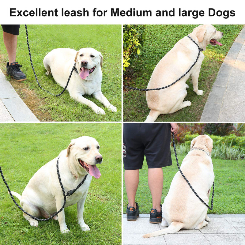 PetBro Dog Leash Heavy Duty Dog Rope Lead with Dog Waste Bag Dispenser Tangle-Free and High Reflective Threads Dog Training Leash for Walking and Training, Medium and Large Dogs, 5.9FT Loop-5.9FT - PawsPlanet Australia