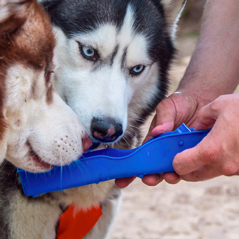 Pet Mania - 2 Portable Dog Water Bottle and Drinking Bowl Travel Sets - 750ml - PawsPlanet Australia