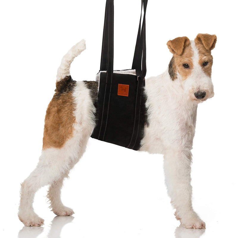 [Australia] - Pet Friendz Dog Lifting Harness for Rear Legs - Dog Sling for Back Legs, Rehabilitation Sling Harness, Dog Lift, Hip Support Harness to Help Lift Dogs Rear for Canine Aid Large 