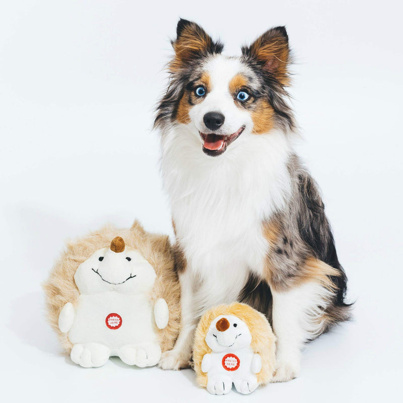Pet Qwerks Dog Squeak Toys - Fun Interactive Squeaky Plush Pet Toy | with Cute Funny Sounds to keep boredom at bay - Choose from Various Animal Characters Hedgehog (4.5 in) - PawsPlanet Australia