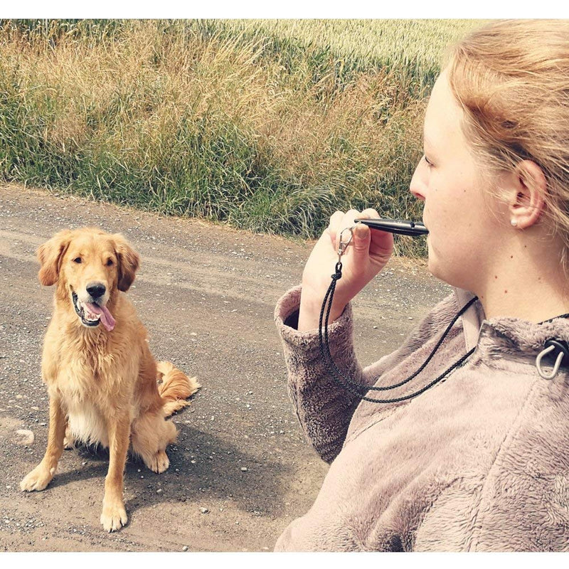 ACME Dog Whistle No. 210.5 + Whistle Band Included, Original from England, Ideal for Dog Training, Robust Material, Standard Frequency is Loud and Wide-Reaching (Carmine Red) - PawsPlanet Australia