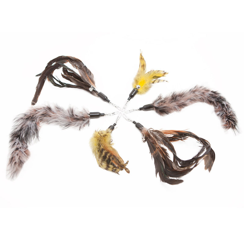 [Australia] - The Natural Pet Company Cat Toys Feather Refill 6 Pack - Add Life to Your Cat's Favorite Toy with This Interchangeable Feather Refill Multipack (As Photographed). 