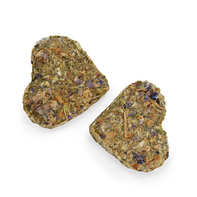 Rosewood Naturals Apple and Pansy Nibble Heart Treats for Small Animals - PawsPlanet Australia