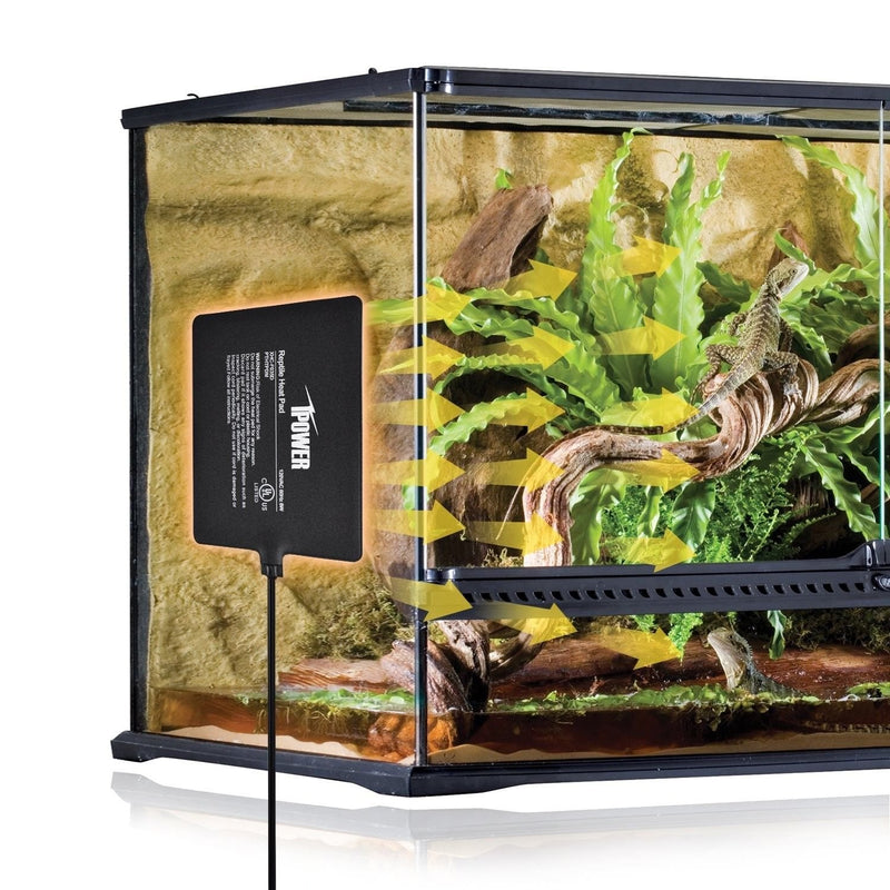 [Australia] - iPower Terrarium Reptile Heating Pad Under Tank Warmer Heater Mat with Digital Thermostat 6" x 8" & Control 