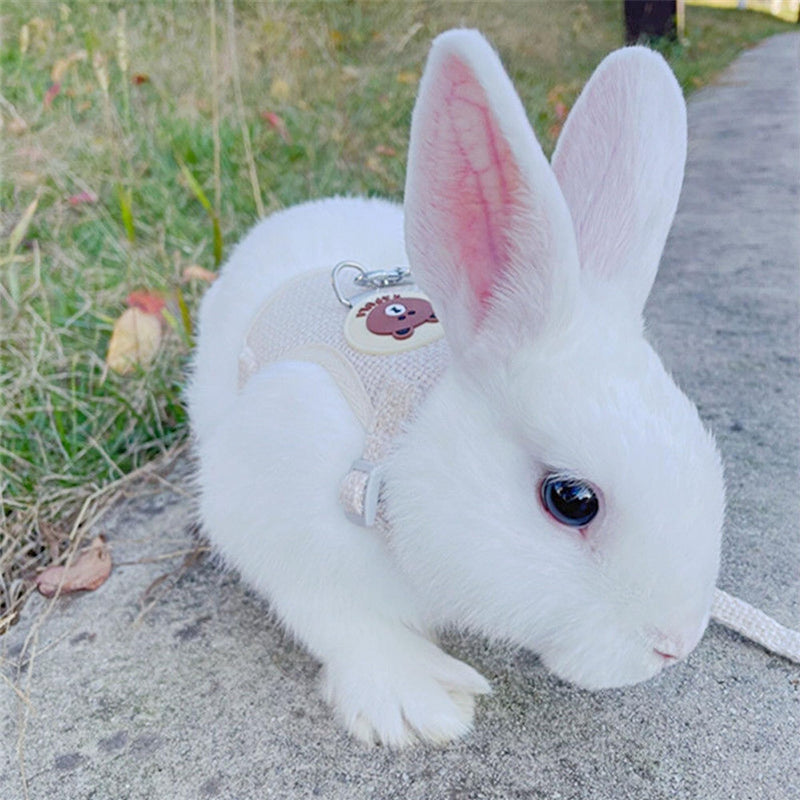 Breathable Rabbit Harness with Leash, Pack of 2 Adjustable Soft Rabbit Harness, Rabbit Harness, Rabbit Harness for Small Animals, Rabbit, Hamster, Cat, Outdoor (Blue, Grey) - PawsPlanet Australia