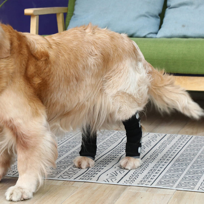 Fenice Dog Leg Brace for Rear Hock & Ankle, Canine Hock Brace with Dual Metal Strips, Dog Leg Joint ACL Sleeves, Injury and Sprain Protection, Wound Care 1 Pair Gray (Size: M) Middle - PawsPlanet Australia
