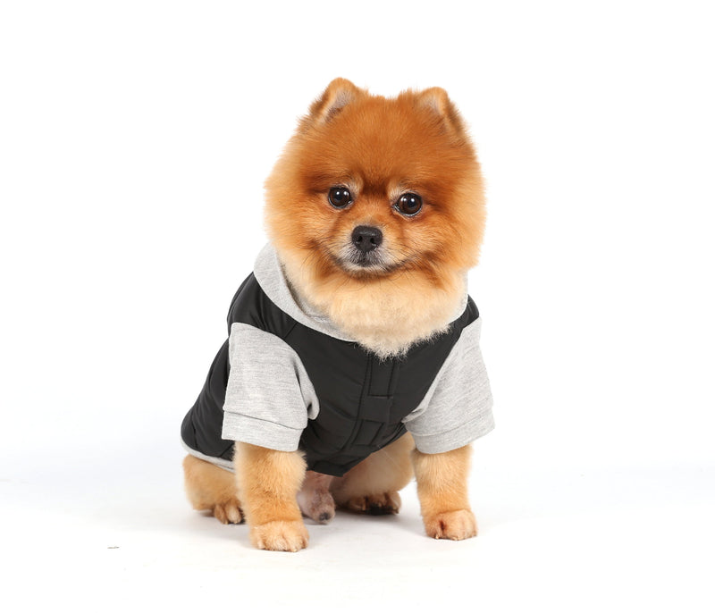 Doggydolly Winter Dog Jacket/Dog coat with Hood, Medium, Chest 41-43 cm, Back 28-30 cm, Black-Grey - PawsPlanet Australia