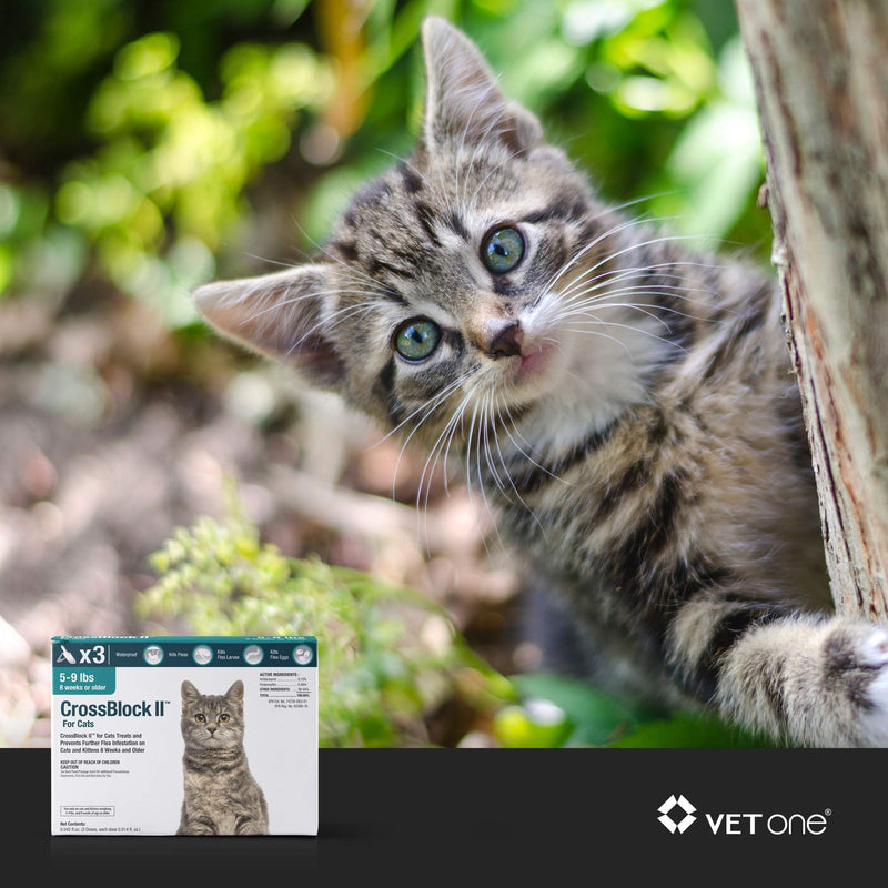 VetOne: CrossBlock II Kills & Prevents Fleas on Cats & Kittens up to 9 Lbs. 3 Applications - PawsPlanet Australia