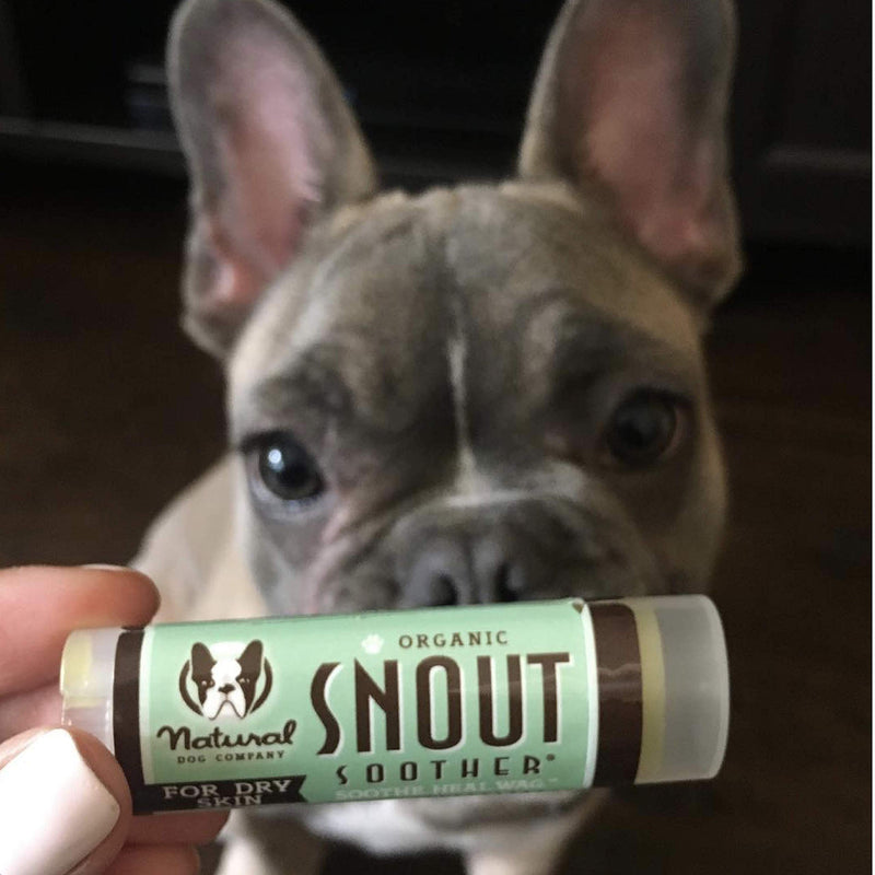 [Australia] - Natural Dog Company Snout Soother, Dog Nose Balm for Chapped, Crusty and Dry Dog Noses, Organic, All Natural Ingredients 0.15 OZ Trial Stick 