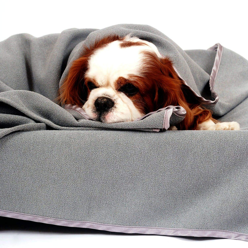 DoggyBag @ WOWOOO Microfibre Doggy Towel - Superabsorbent quick drying dog towel : Large Brown/Orange L - PawsPlanet Australia