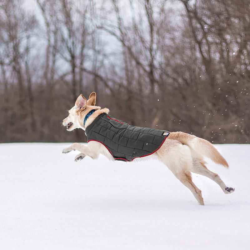 [Australia] - Kurgo Dog Jacket | Reversible Winter Jacket for Dogs | Pet Coat for Hiking | Water Resistant | Reflective | Lightweight | Wear with Harness | Athletic | Loft Jacket | For Small, Medium, & Large Dogs Chili Red/Charcoal 