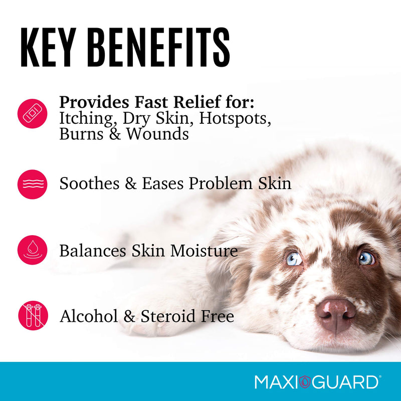 MAXIGUARD Pet Skin Care Gel Zn7 Derm with Neutralized Zinc for Dogs ...