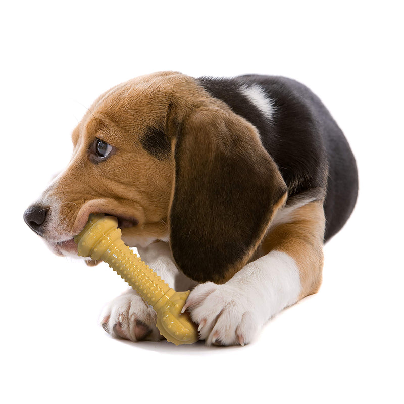 [Australia] - Nylabone Barbell Power Chew Durable Dog Toy Medium/Wolf - Up to 35 lbs. None 